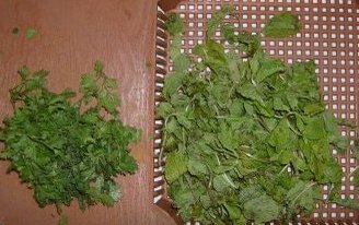 coriander